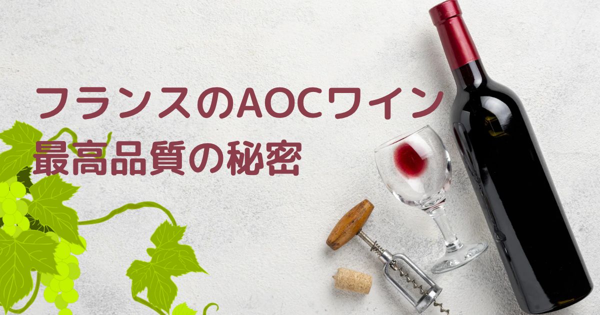 初心者向け】フランスのAOCワイン、最高品質を保証する秘密 | きゅんワイン